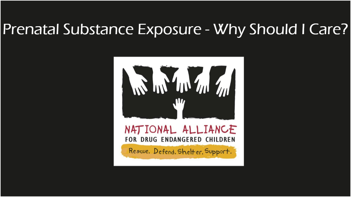 Drug Endangered Children: Prenatal Substance Exposure - Why Should I Care? - access the courses description