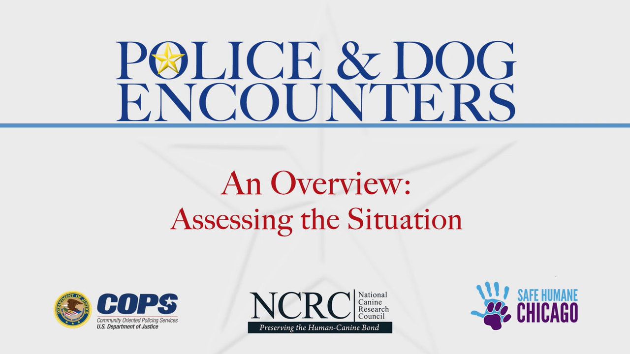 Police & Dog Encounters: Tactical Strategies and Effective Tools to Keep our Communities Safe and Humane - access the resource description