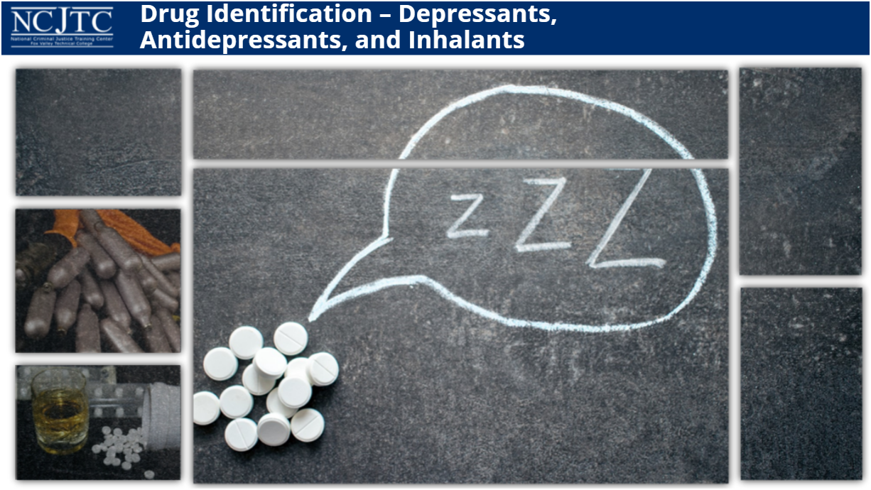Drug Identification and Recognition: Depressants, Antidepressants, and Inhalants - access course