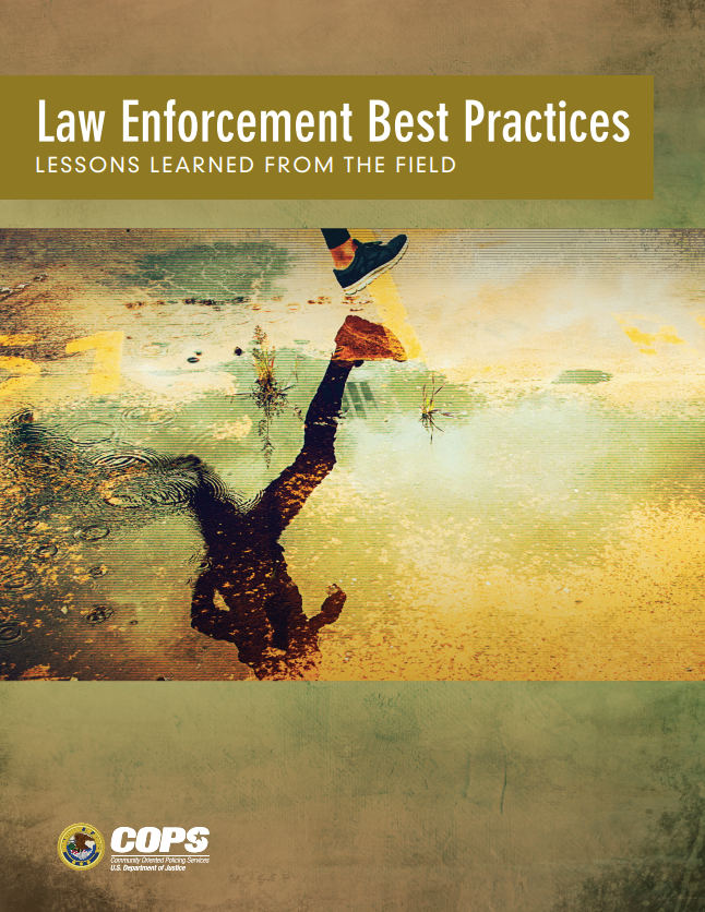 Law Enforcement Best Practices: Lessons Learned from the Field - download the document